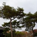 너른마당1 이미지