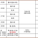 신안 웰리스 이미지