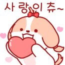 레드앤화이트독 이미지