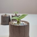 서우농장 이미지