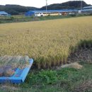 푸른솔 농장 이미지