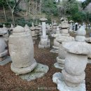 이강옥 교수의 한국선 이야기 1. 선승의 삶
