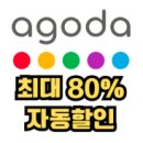 뉴하늘관광