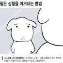 중문사 이미지
