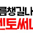 펫스타일 이미지
