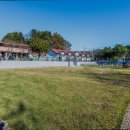 꽃길만걷개 이미지