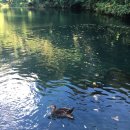 에일린게스트하우스 이미지