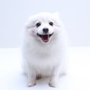선스튜디오