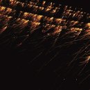 (주)안동터미널 이미지