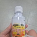 연세의원 | 임신 25주차: 용산구 보건소 임당 검사, 연세산부인과의원 재검 후기