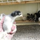 청계유통 이미지