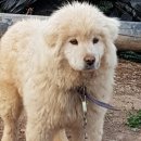 자굴산황토민박 이미지