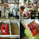 이찌고하우스 - 18257 | 시즈오카 딸기 해안 거리 / 이치고 카이간 도리 [ 일본 시즈오카여행, いちご海岸通り ]