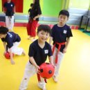 한샘태권도장 이미지