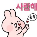 카카오 이미지