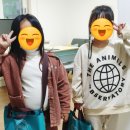 크린토피아대전도안 이미지