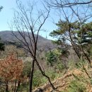 매봉산 정상 이미지