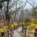 선원공원 | 대구 아이와 갈만한곳 선원공원 와룡숲놀이터 주차 위치 가는길