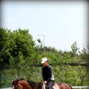 비봉목장 이미지