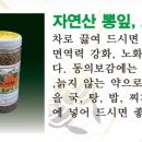 숲과벗 이미지