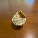 죽성곰탕 | 나의 여름 . . . 🍅🌽🍑 과 인턴 생활의 마무리