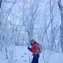 ⛰️ 영남알프스 8봉인증1탄 시작 가지산 운문산 눈산행 다녀왔습니다^^ 이미지