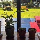 버스정류소_공천포 이미지