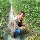 (주)보림환경 이미지