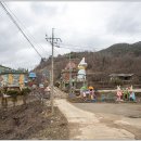 동백쉐이리 이미지