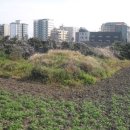 제주시 외도동 주민센터 이미지