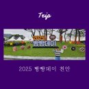 빵데이 | 2025 빵빵데이 천안 빵축제, 다녀온 후기:)