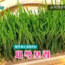 보리가득