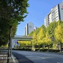 분당중앙공원 이미지