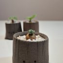 서우농장 이미지