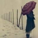 참조은날 이미지