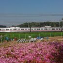 자연학습공원 이미지