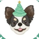 퍼피트리 애견유치원&호텔 이미지