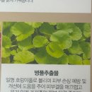 비에프 | 포항문덕피부관리 비에프샵 이용후기