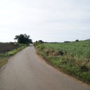 서울마장초등학교 이미지