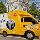 사랑할~개 이미지