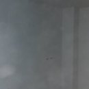 리얼핏짐 이미지