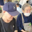 당당한 안녕 : 죽음을 배우다 1
