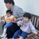 교다이2 이미지