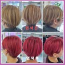 큐사랑대전 - 66077 | 큐사랑대전