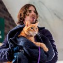 호텔티파니에서아침을 이미지