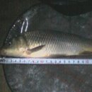 남양호 상류 이미지