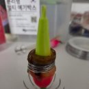 대호 | 인천 연안부두 선상낚시 쭈꾸미 갑오징어 새시대호 내돈내산 후기