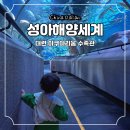 대련 아쿠아리움 수족관 성아해양세계 입장료 아이랑 중국 여행