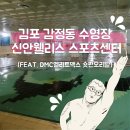 신안웰리스