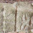 진관농장 이미지